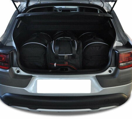C4 Cactus